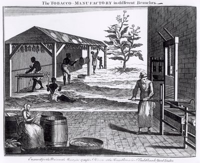 The Tobacco Manufactory in Different Branches, engraved for the Universal Magazine, 1750 by English School